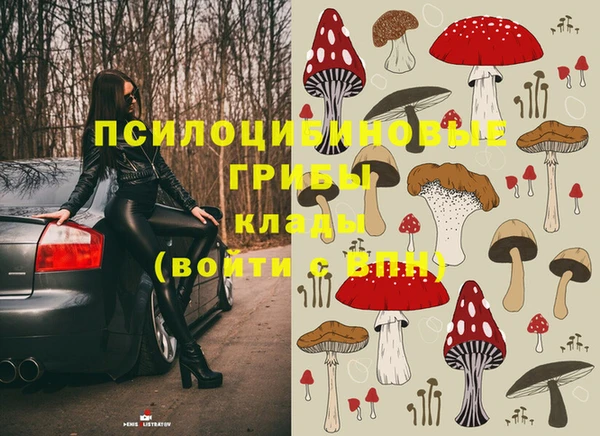 прущие крисы Абинск