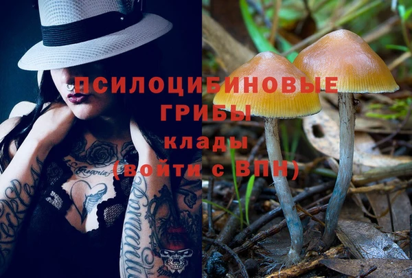 прущие крисы Абинск